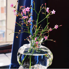 Pomegranate Glass Hydroponic Propagation Vase